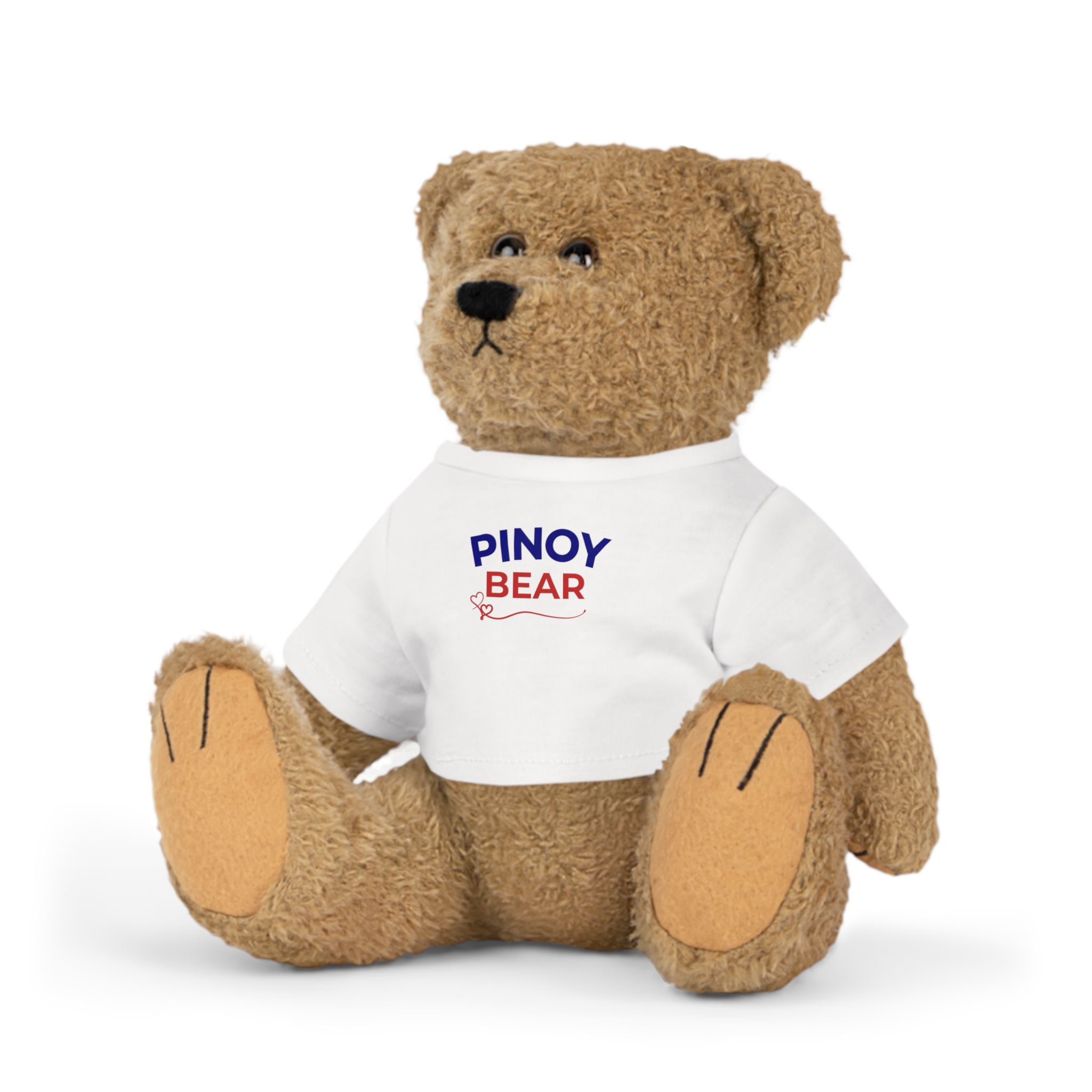 Pinoy Bear Plush Toy with T‑Shirt — Cute Filipino Souvenir Pasalubong Teddy Gift Present - Image 2